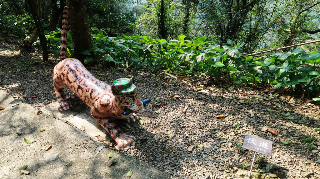 22-桃園角板山公園 戰備隧道.JPG