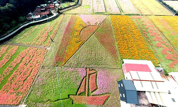 04-2018桃園花彩節大溪場(空拍).jpg