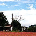 09-2018桃園花彩節大溪場.jpg