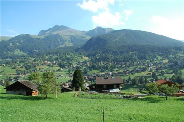 Interlaken-Jungfrau少女峰之旅-搭登山火車上山 (32).JPG