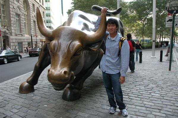New York紐約-華爾街象徵股市上漲的牛 (5).JPG
