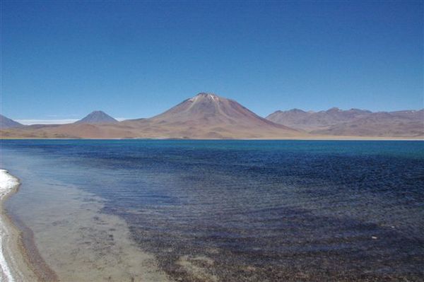 Lake Tekapo-善良的牧羊人教堂 (49).JPG