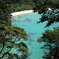 Abel Tasman-North walk-超碧綠的海 (3).JPG