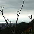 陰,梅雨