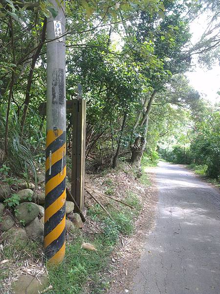 標示牌躲電桿後