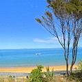 Abel Tasman-1  NZ 20090207.jpg