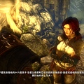 witcher2 2017-06-27 15-57-02-692.jpg