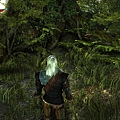 witcher2 2017-06-27 15-25-14-791.jpg