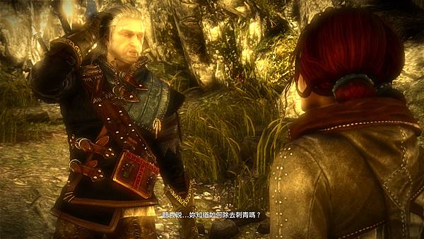 witcher2 2017-06-27 15-57-21-659.jpg