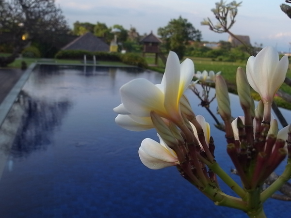 Villa Sanur Residence 