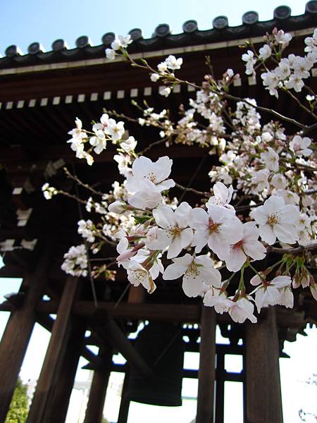 不是吉祥寺的吉祥寺