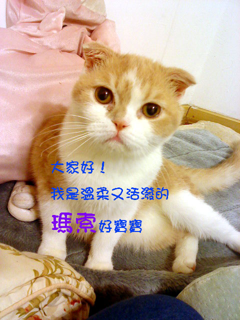 瑪索1.jpg 瑪索1.jpg