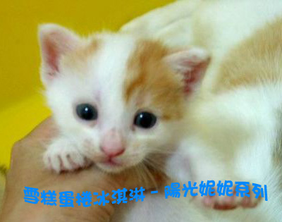 妮妮1.jpg 妮妮1.jpg