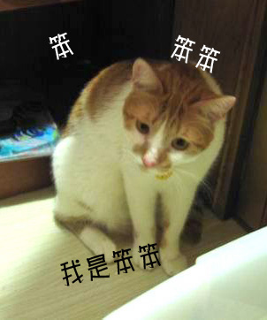 笨笨.jpg 笨笨.jpg
