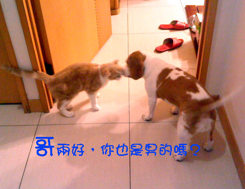 瑪索2.jpg 瑪索2.jpg