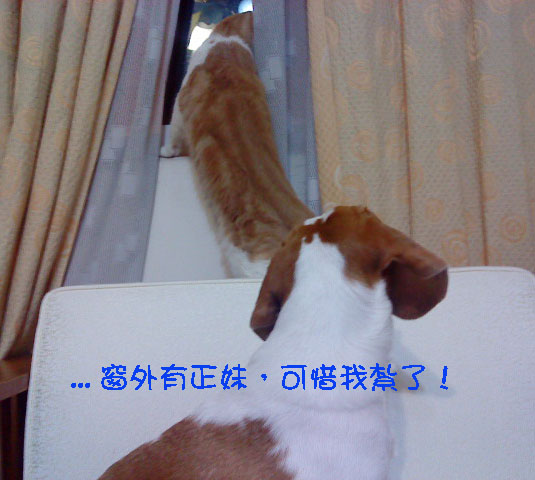 瑪索3.jpg 瑪索3.jpg