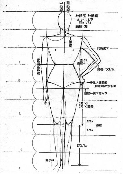 女性九頭身基本比例畫法.jpg