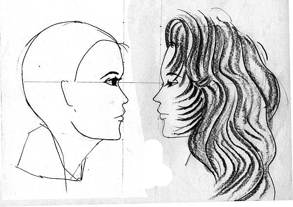 女性臉形與髮型04.jpg