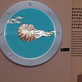 20200822左鎮化石園區_200824_66.jpg