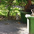 DSCN3624
