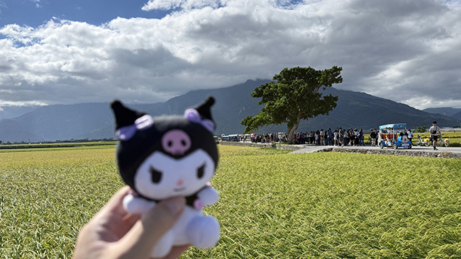 2025奧爾資訊_花東員旅