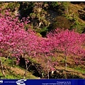 20120222006