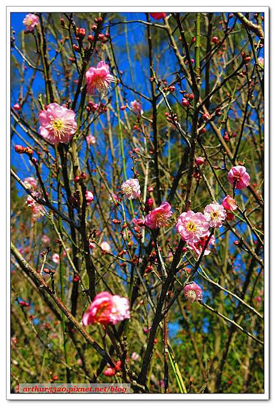 2016-02-09-08