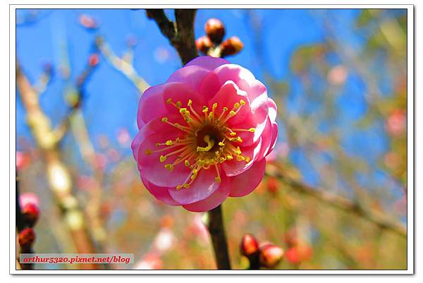 2016-02-09-09