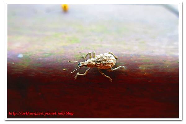 2018-05-07-03 2018-05-07-03