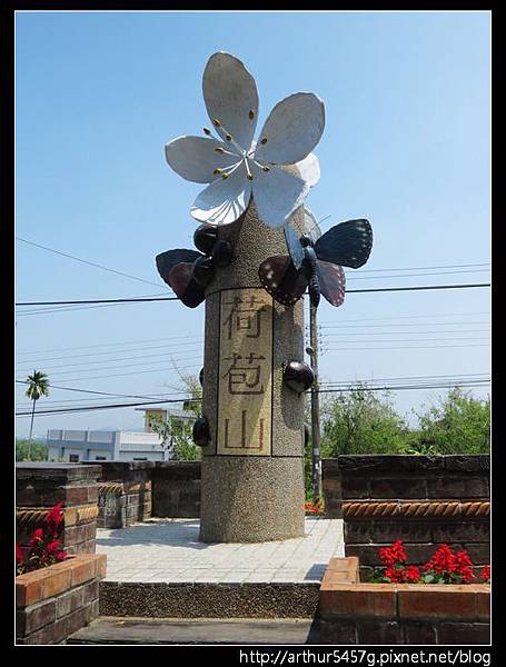 荷苞山桐花公園2