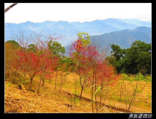 寶山38甲5.jpg