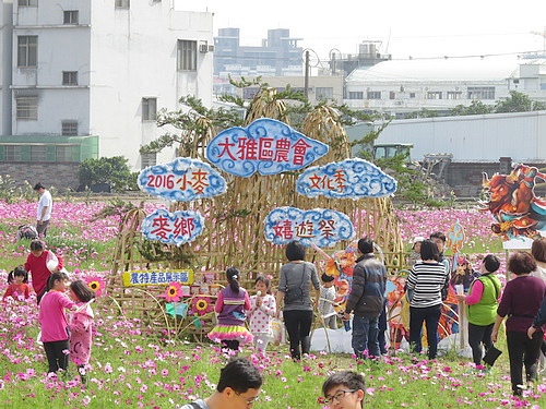 大雅小麥文化季4jpg.jpg