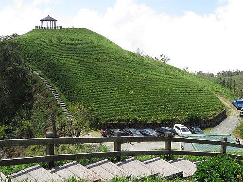 太麻里金針山 (25).JPG