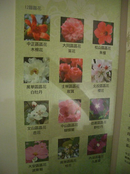 台北市各區的區花