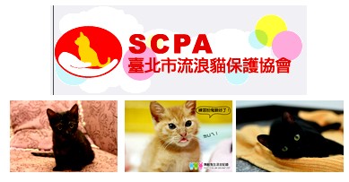 流浪貓保護協會.jpg