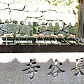 長谷寺 (41)