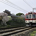 佐保川 長谷寺 郡山城跡  (632)