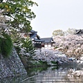 佐保川 長谷寺 郡山城跡  (690)