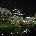 佐保川 長谷寺 郡山城跡  (930)