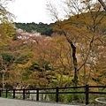 清水寺 38.JPG