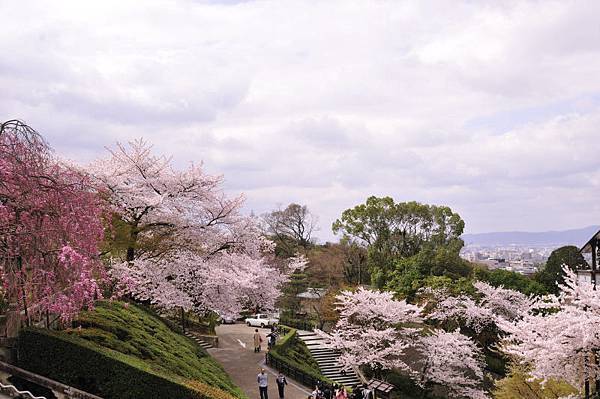 清水寺7.JPG