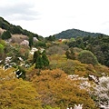 清水寺21.JPG