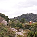 清水寺24.JPG