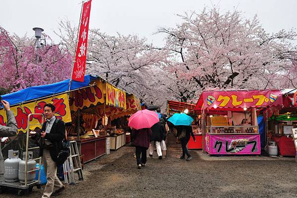 平野神社19.JPG