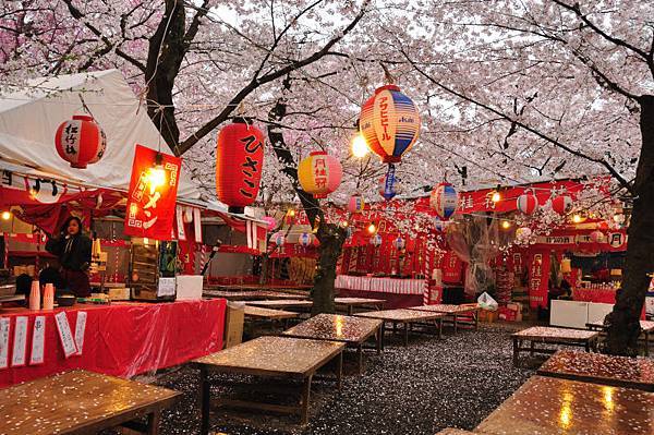 平野神社20.JPG