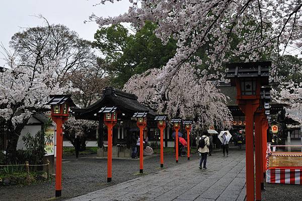 平野神社27.JPG