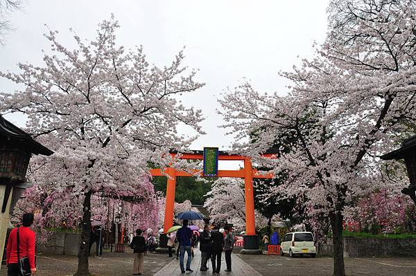 平野神社29.JPG