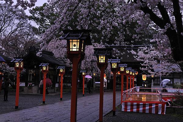 平野神社33.JPG