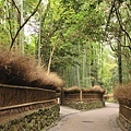 嵐山3.JPG