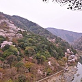 嵐山12.JPG